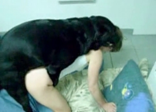Good black dog fucked her wet cunt