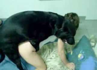 Good black dog fucked her wet cunt