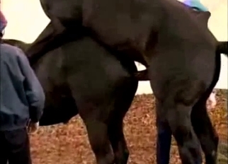 Awesome stallion having amazing sex
