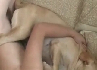 Sexy doggy fucked in hardcore mode