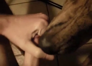 Sweet dog licks my dick in POV mode