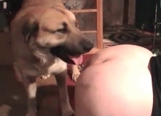 Stunning doggy fucking her wet hole