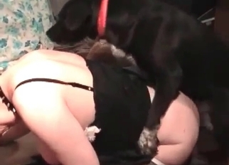 Stunning doggy fucking her wet hole