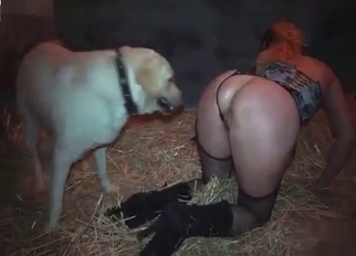 Beautiful doggy licks her tight wet hole