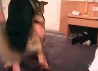 Sexy shepherd fucked her cunt so fast