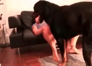 Beauty babe fucked fast by her doggy