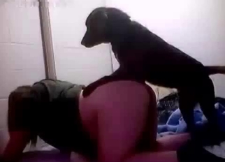 Sexy black dog drills her wet hole