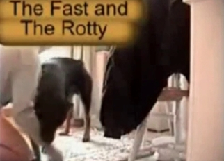 Big dog fucked wide ass from behind