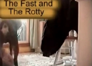 Big dog fucked wide ass from behind