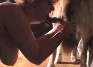 BBW zoofil is enjoying her labrador