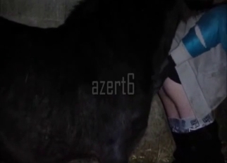 Amazing homemade bestiality XXX with horse