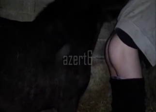 Amazing homemade bestiality XXX with horse