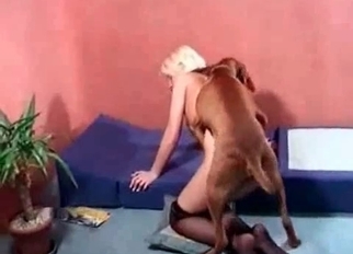 Passionate blonde is enjoying quick bestiality
