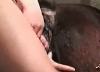 Sexy black animal fucked from behind