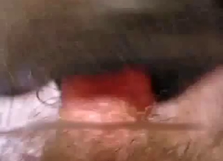 Sweet stallion nicely sucks his boner