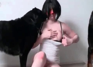 Busty chick sucking her lovely doggy