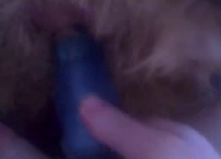 Sticking a big toy in doggy ass