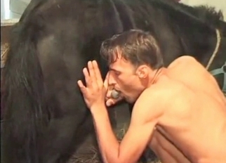 Dude jerks off a massive horse cock