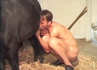 Dude jerks off a massive horse cock