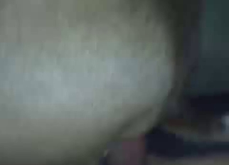Filthy as hell amateur 3D bestiality