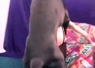 Skinny beauty adores nasty bestiality XXX