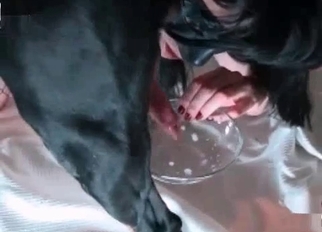 Sexy trained doggy licked her cunt