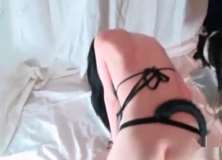 Sexy trained doggy licked her cunt