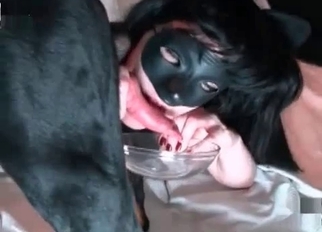 Sexy trained doggy licked her cunt
