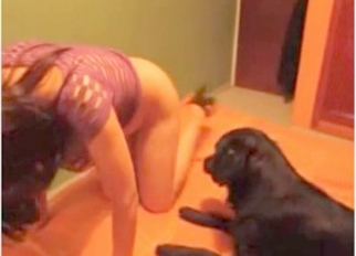 High-heeled chick and her lovely dog
