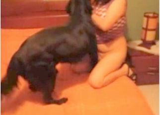High-heeled chick and her lovely dog