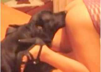 High-heeled chick and her lovely dog