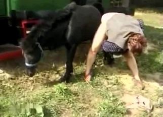 Nice animal in passionate homemade bestiality XXX