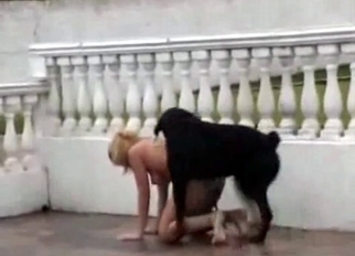 Naked blonde bangs with amazing doggy