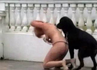 Naked blonde bangs with amazing doggy