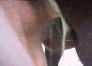 Screwing tight stallion pussy from behind