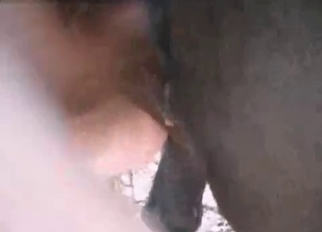 Screwing tight stallion pussy from behind