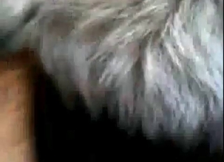 Big-ass babe fucked hard by her dog