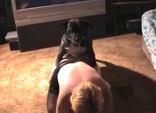 Awesome pussy nicely fucked by amazing dog