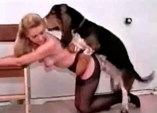 Slender chick fucked in doggy style