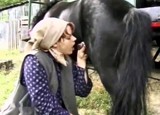 Small black pony sucked by farm zoofil