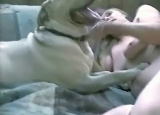 Fucking my nasty doggy in bestiality style