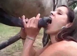 Skinny jockey gives her horse a blowjob