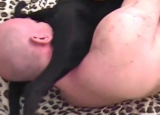Black dog fucked by fat bald zoofil