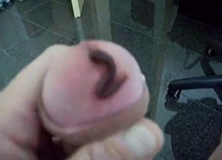 Sticking worm in my dick hole