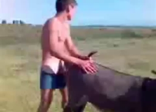 Awesome animal fucked in doggy style pose