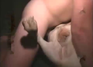 Perverse male zoophile fucking animals