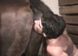 That brown horse gets the best oral