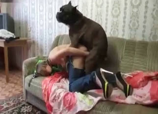 Very quick bestiality action with my wife