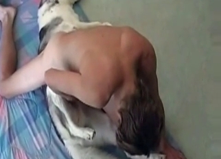 Animal is being pounded by a zoophile