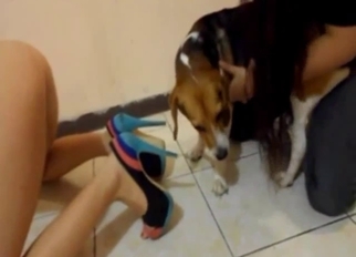 Slender angel and her awesome dog love each other